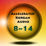 Accelerated Korean II – Lesson 8~14